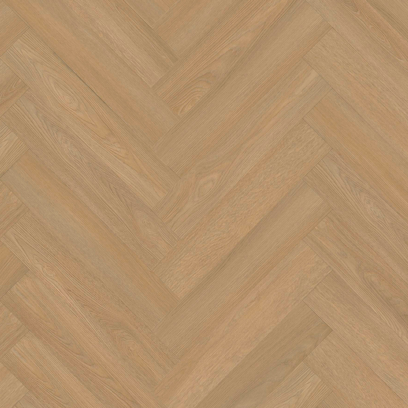 Jodełka XL 8545 — zdjęcie 3