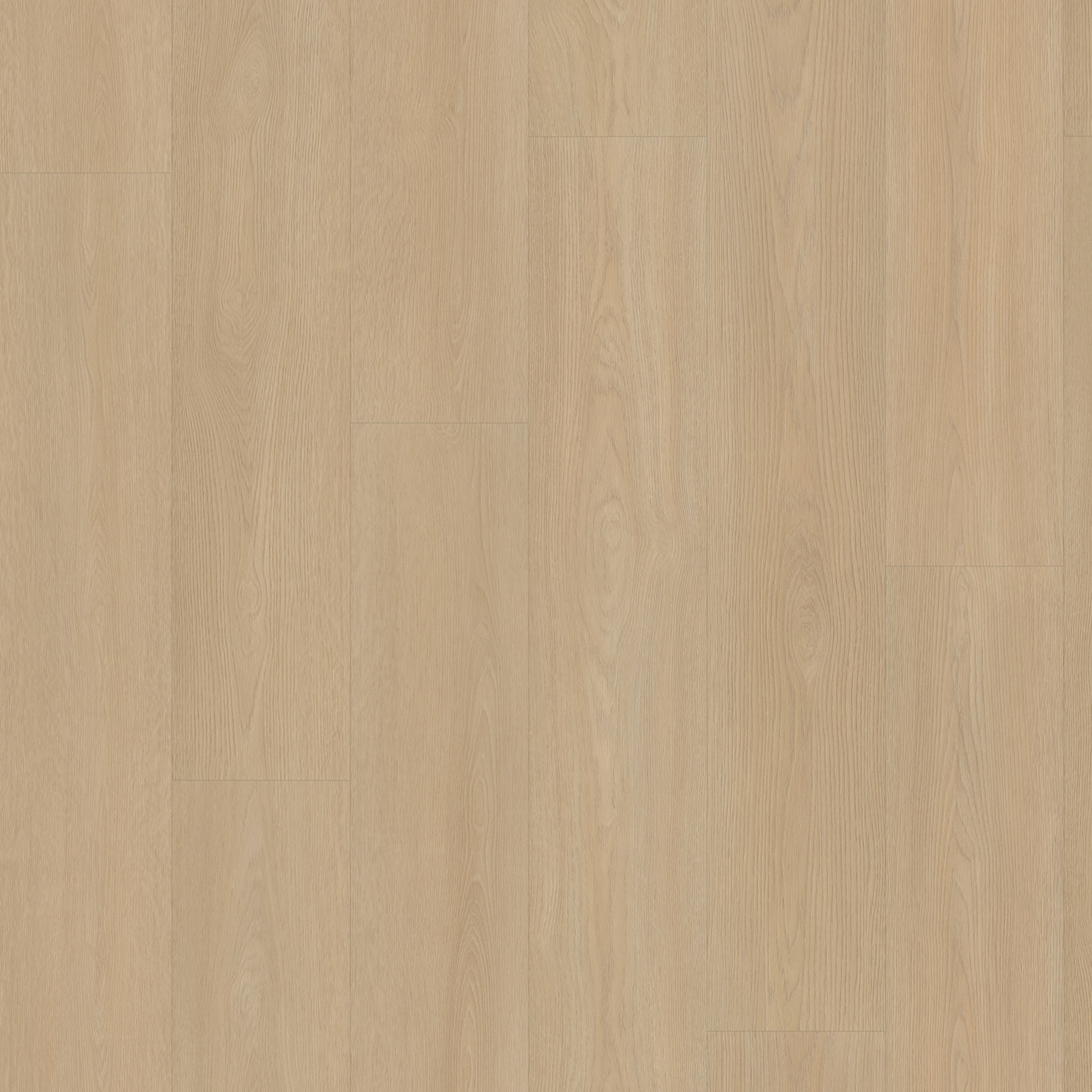 Dąb 8520 — zdjęcie 3